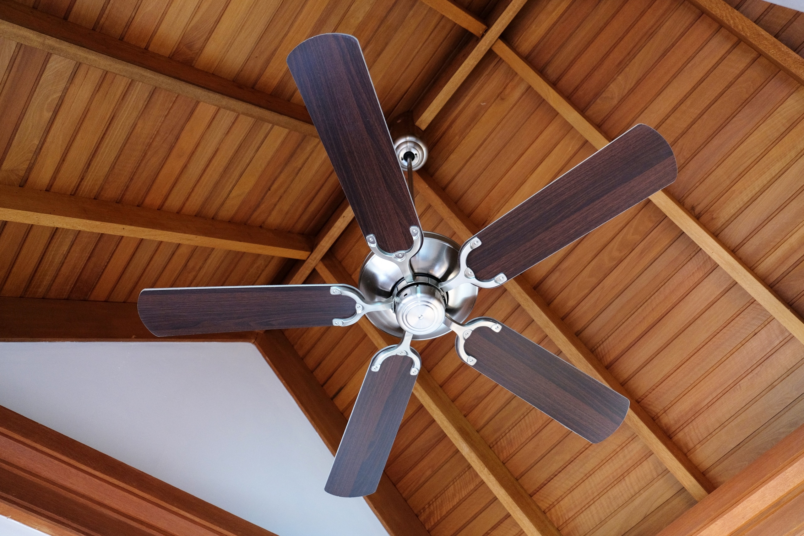 bigstock ceiling fan indoors 96014309 1 3 bigstock ceiling fan indoors 96014309 1 3