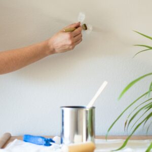 how to touch up paint 5193834 07 fe3854eef4c94b48b0f5febf15566ba5