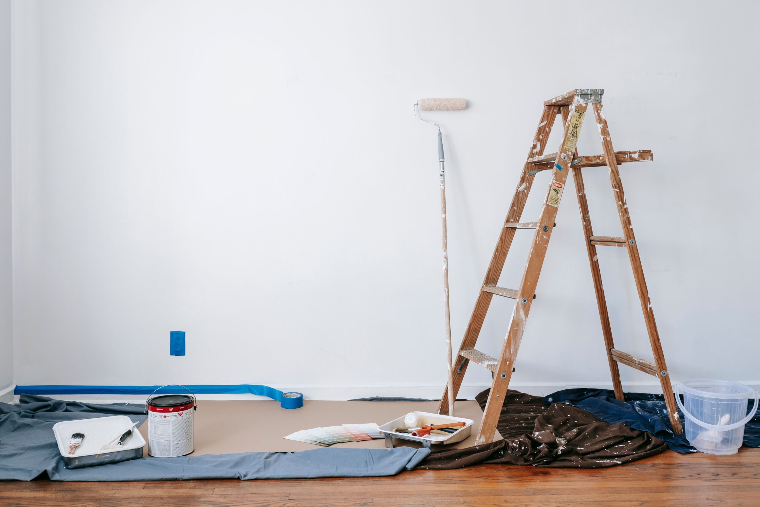 Remodels pexels blue bird 7218525